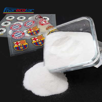 Polvere adesiva hot melt bianca A3 A2 1KG per stampante DTF